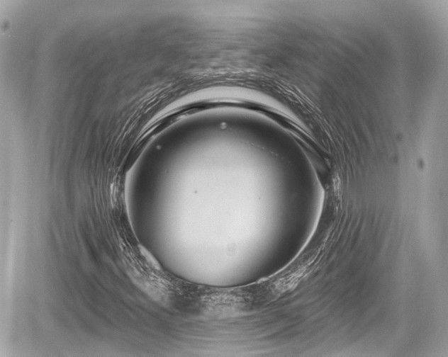 X0000059041300200510100959