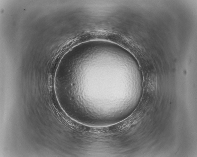 X0000059041301200510100959