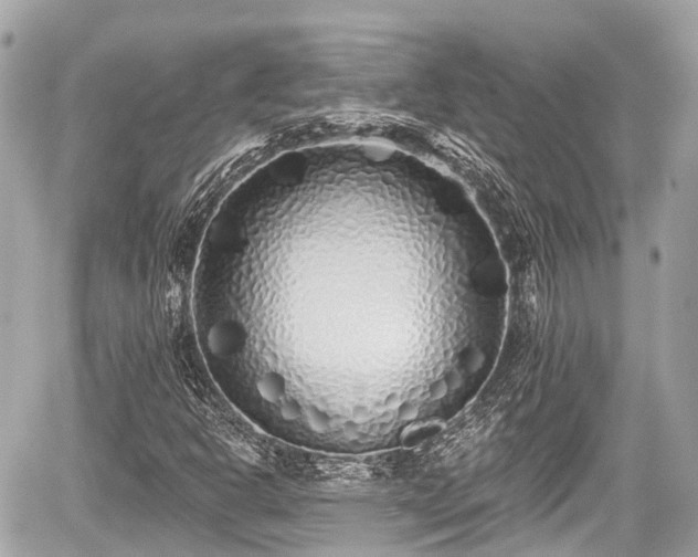 X0000059041302200510100959