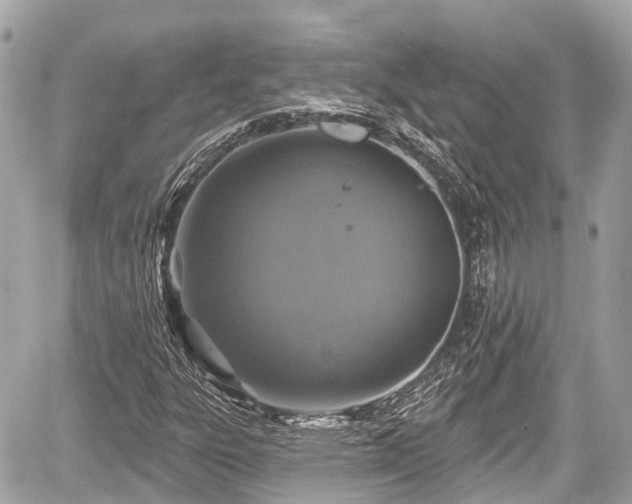 X0000059041303200510100959