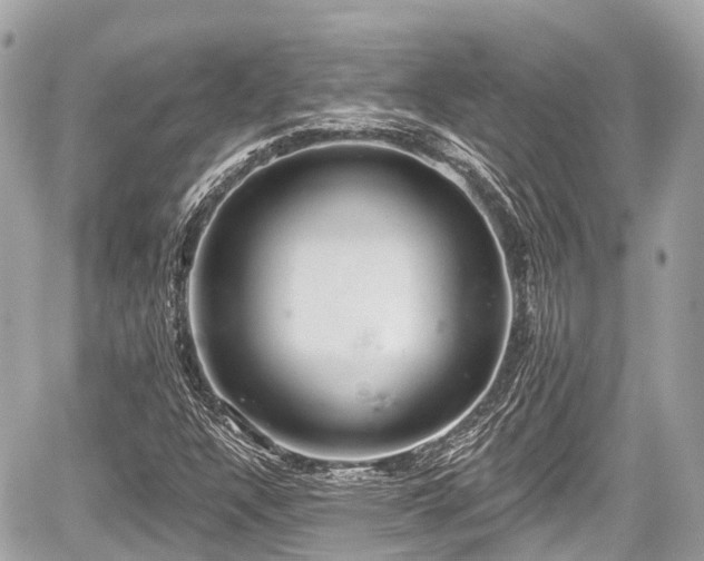 X0000059041304200510100959