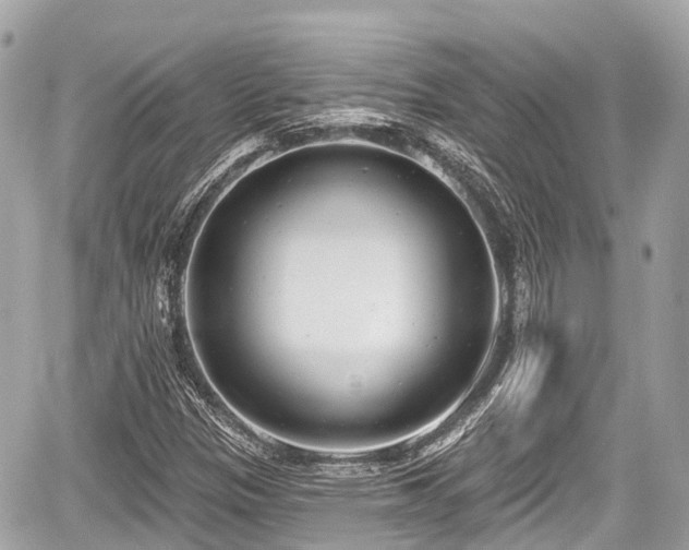 X0000059041305200510100959