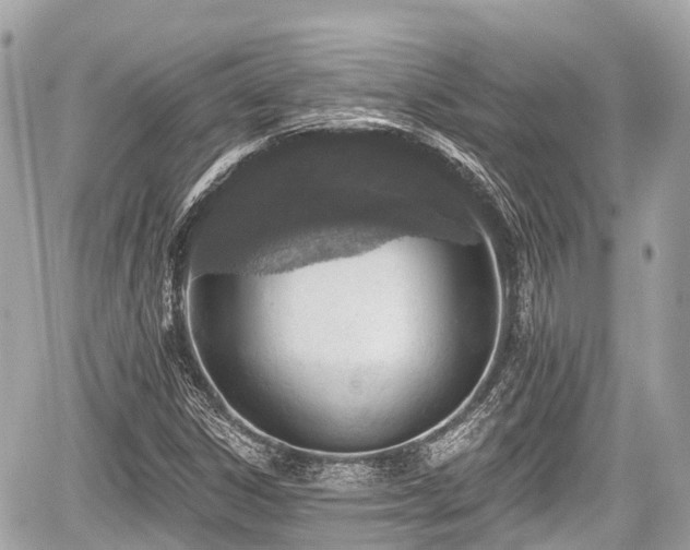 X0000059041306200510100959