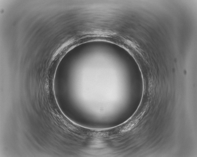 X0000059041307200510100959