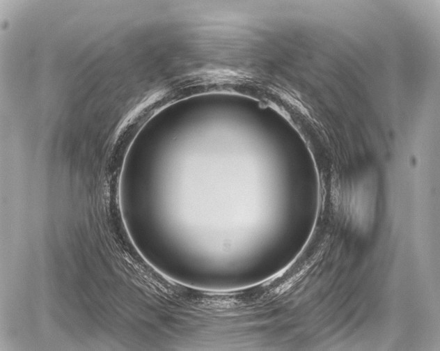 X0000059041309200510100959