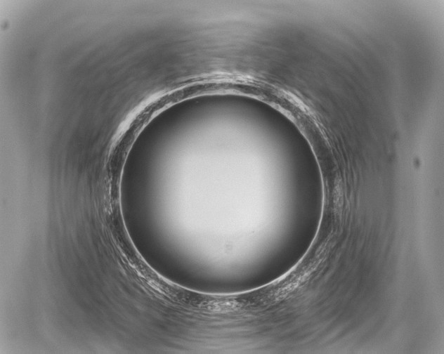 X0000059041310200510100959