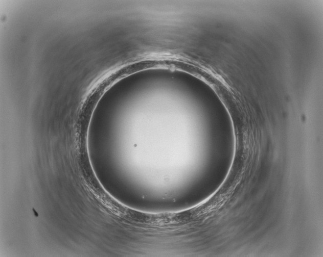 X0000059041311200510100959