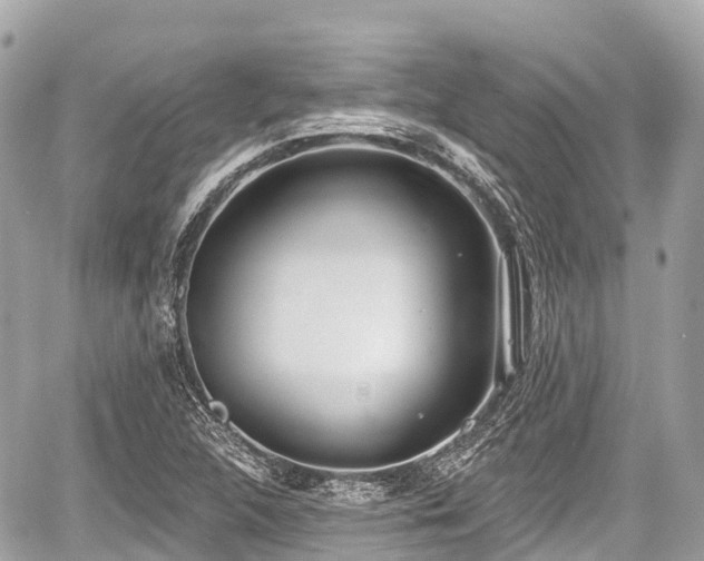 X0000059041312200510100959