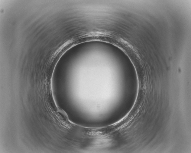 X0000059041313200510101000