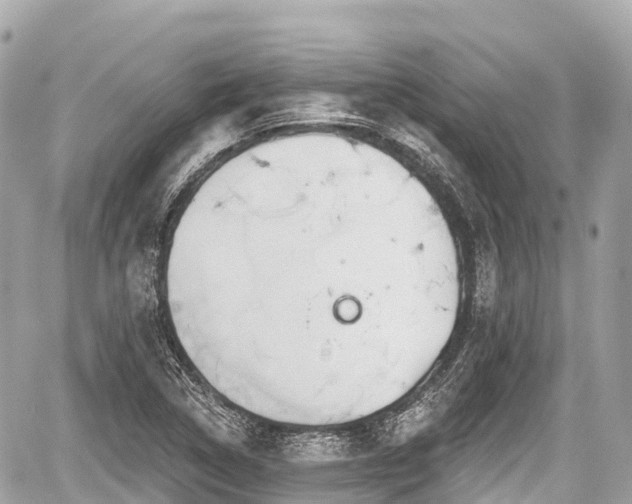 X0000059041314200510101000