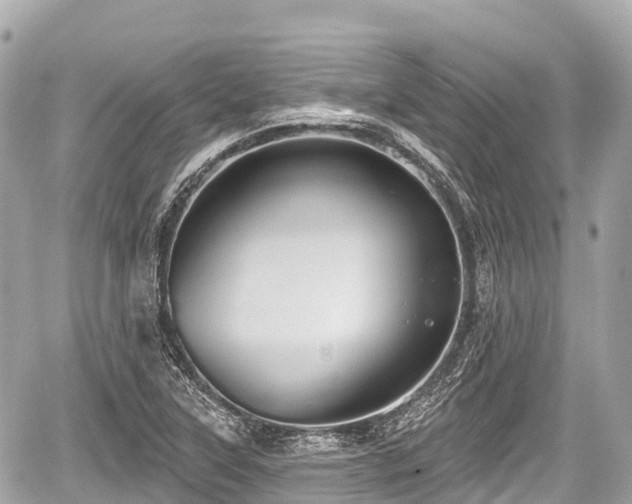 X0000059041315200510101000