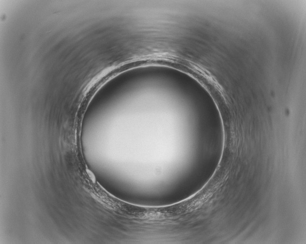 X0000059041316200510101000