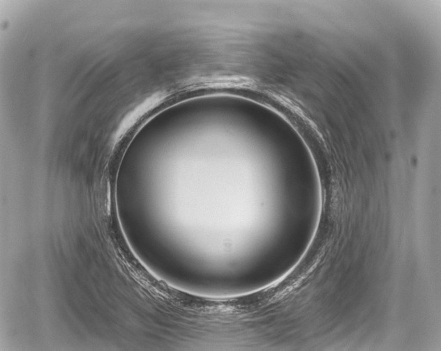 X0000059041317200510101000