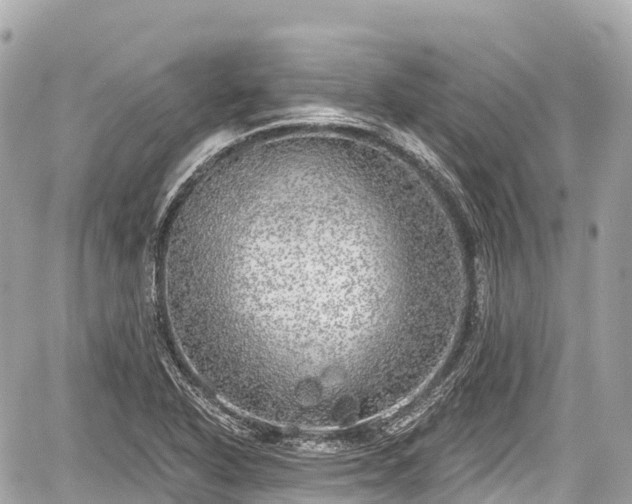 X0000059041318200510101000