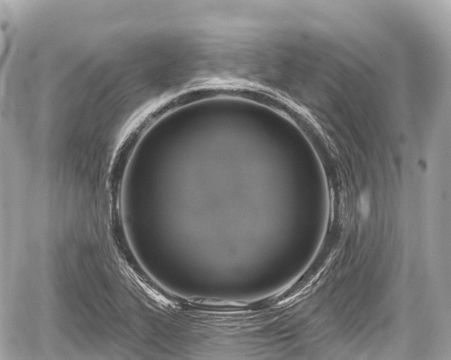 X0000059041319200510101000