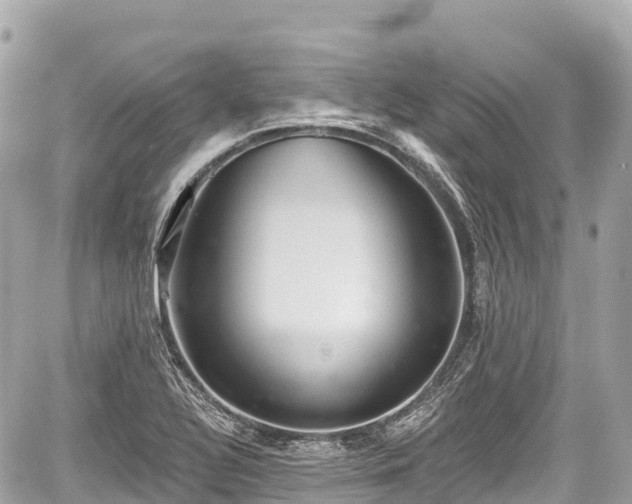 X0000059041320200510101000