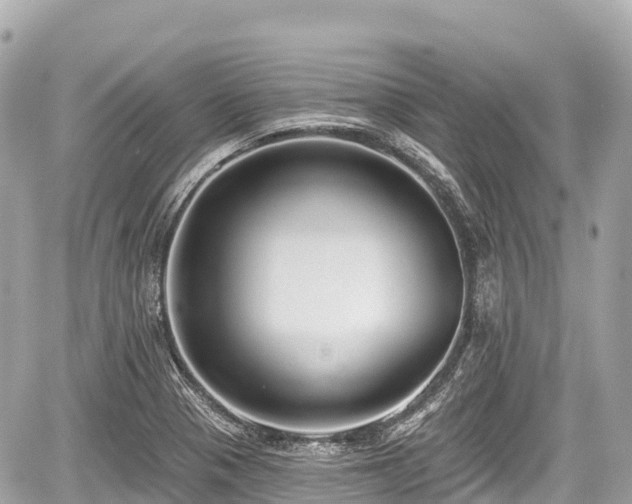 X0000059041321200510101000