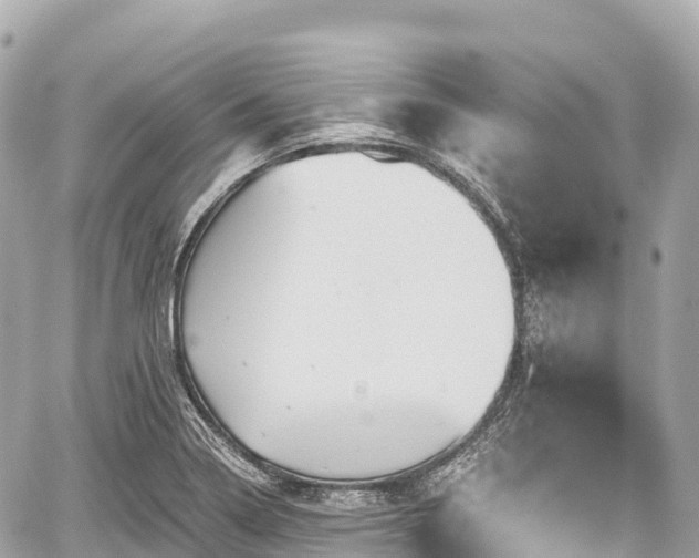 X0000059041322200510101000