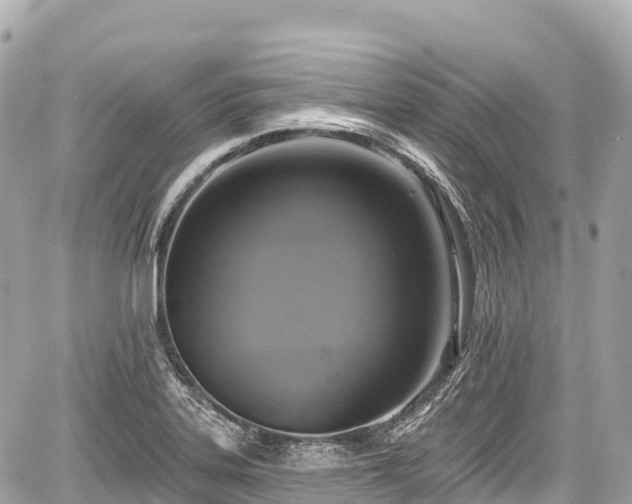 X0000059041323200510101000