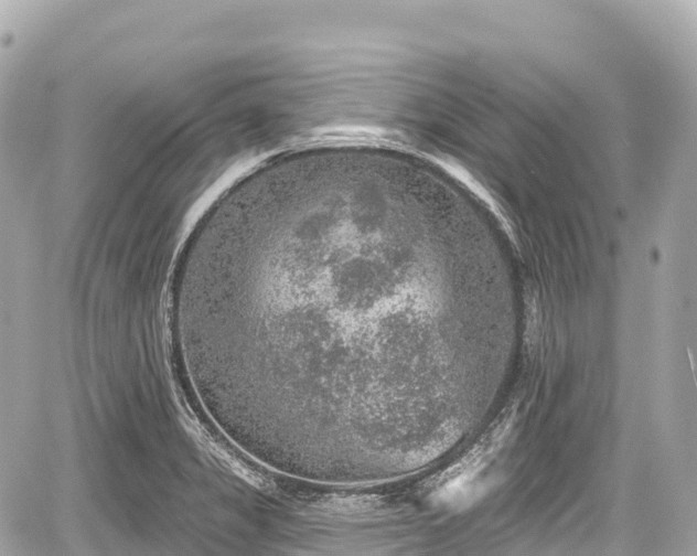 X0000059041325200510101000