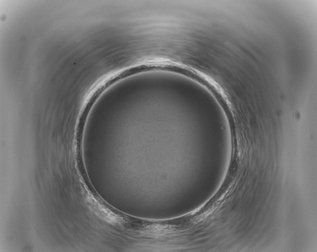 X0000059041327200510101000