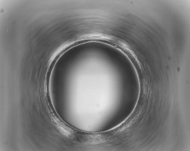 X0000059041328200510101000