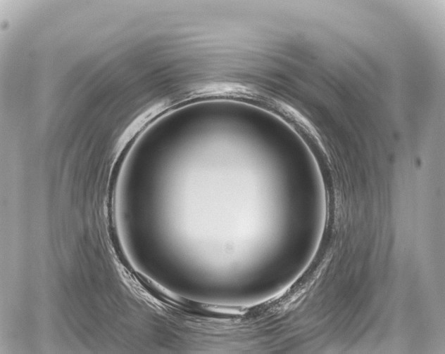 X0000059041330200510101000