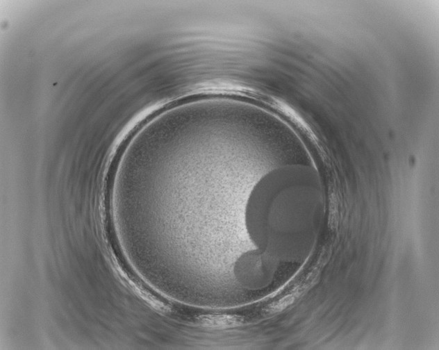 X0000059041331200510101000