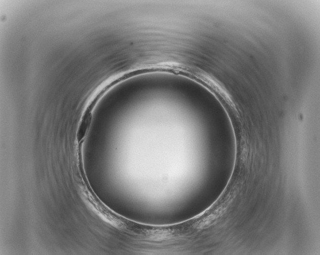 X0000059041332200510101000