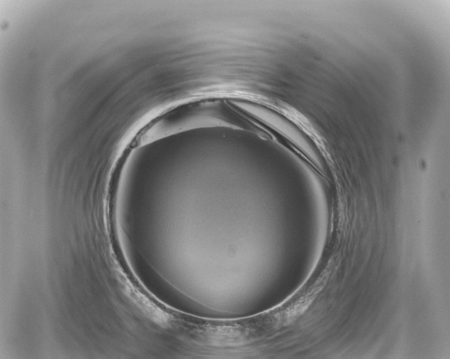 X0000059041334200510101000