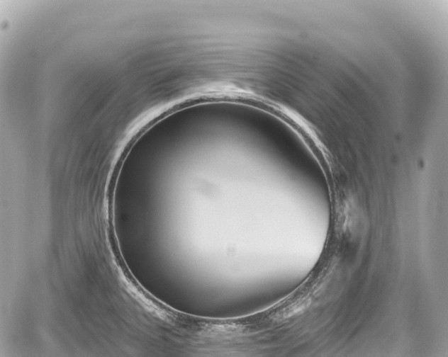 X0000059041335200510101000