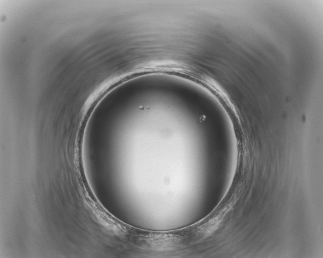 X0000059041336200510101000