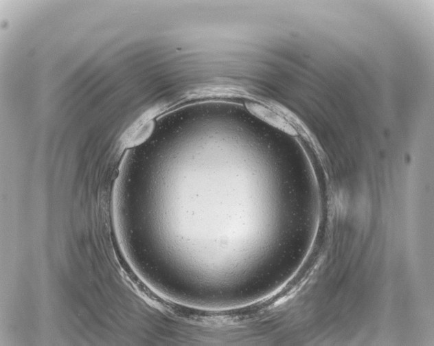 X0000059041337200510101000