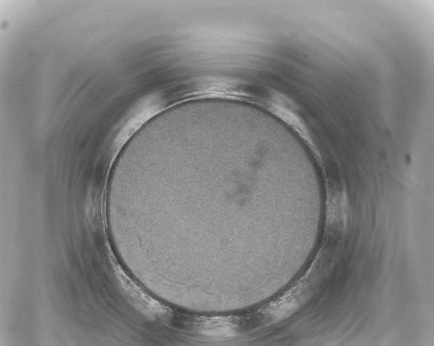 X0000059041338200510101000