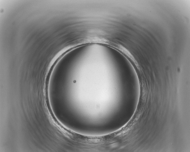 X0000059041339200510101000