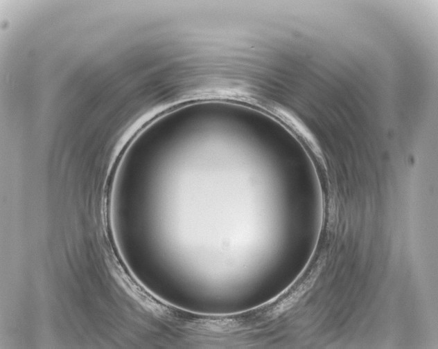 X0000059041340200510101000