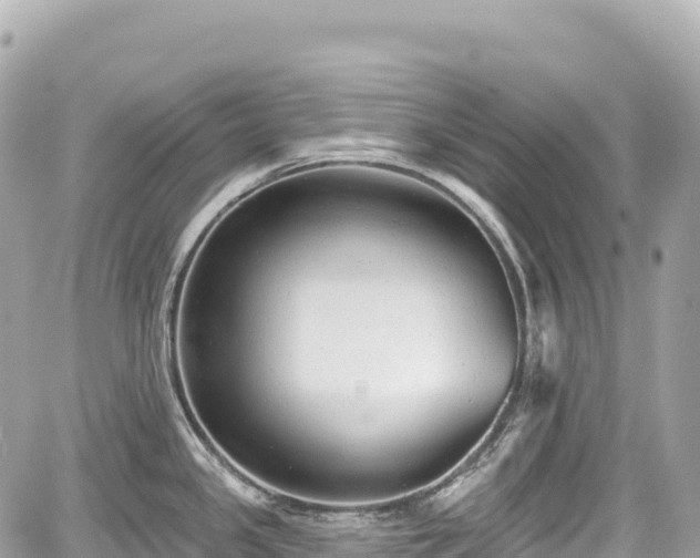 X0000059041341200510101000