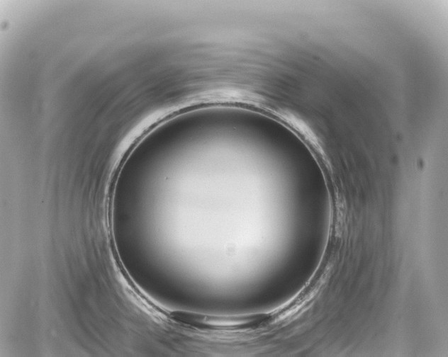 X0000059041342200510101000