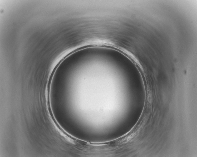 X0000059041343200510101000