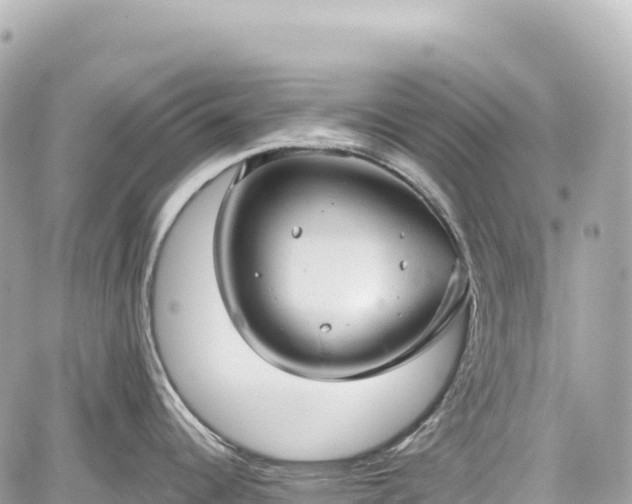 X0000059041344200510101000