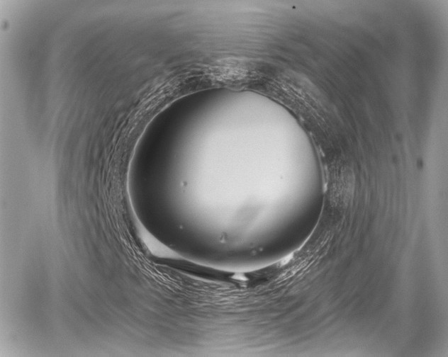 X0000059041345200510100959