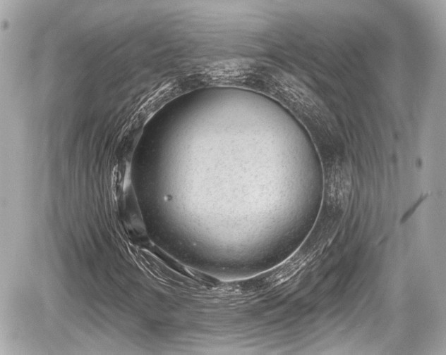 X0000059041346200510100959