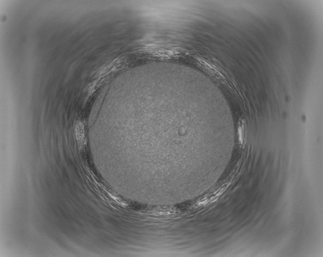 X0000059041347200510100959