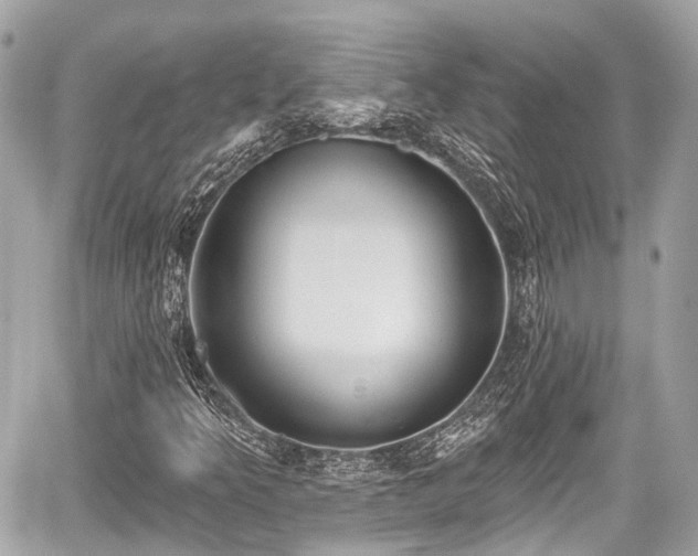 X0000059041349200510100959