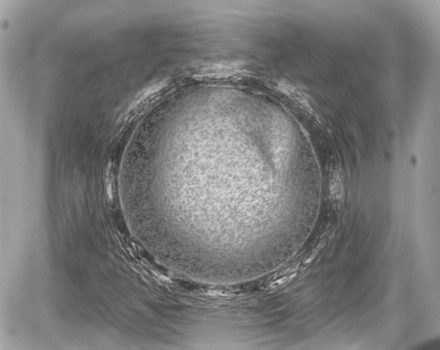 X0000059041350200510100959