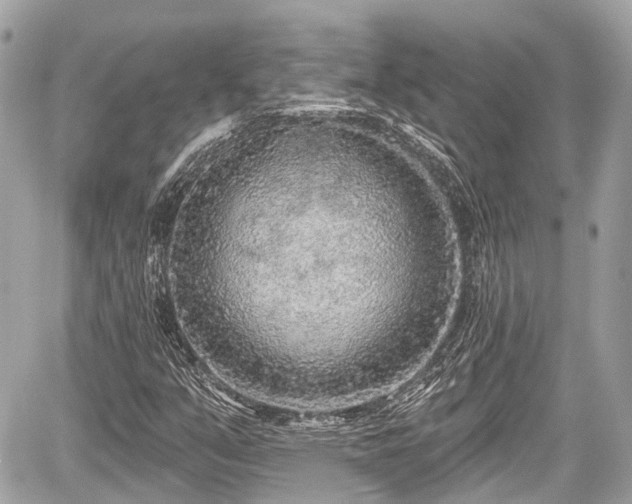 X0000059041351200510100959