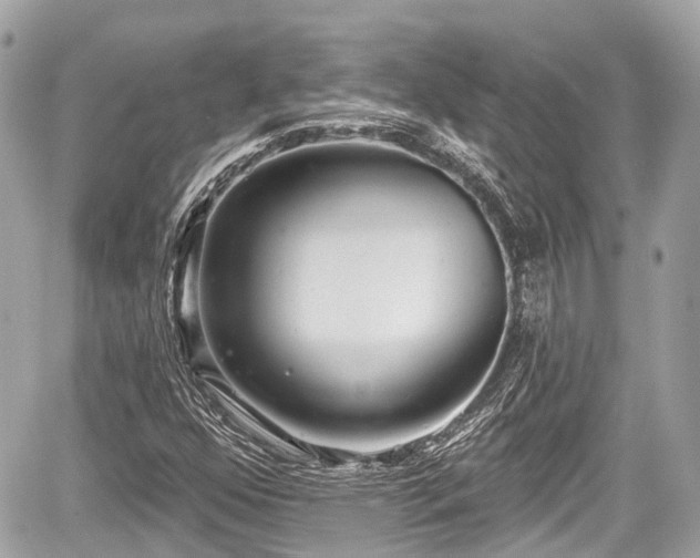 X0000059041352200510100959