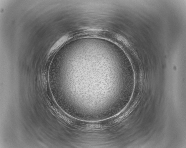 X0000059041354200510100959