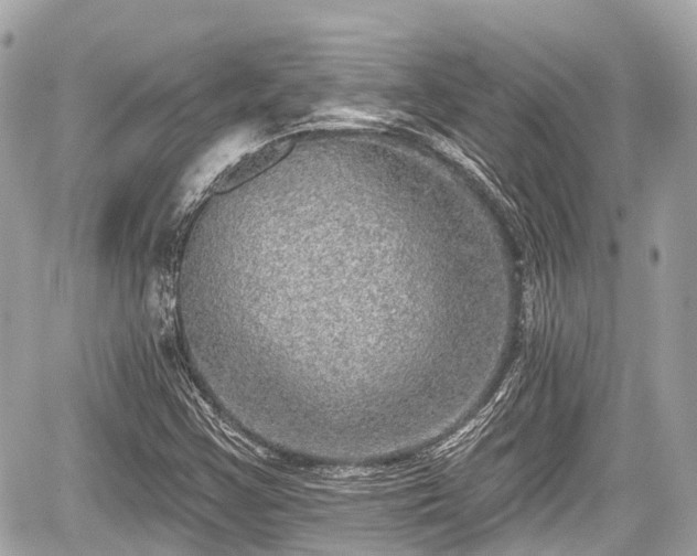 X0000059041355200510100959