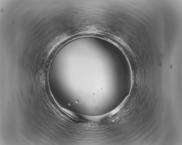 X0000059041356200510100959